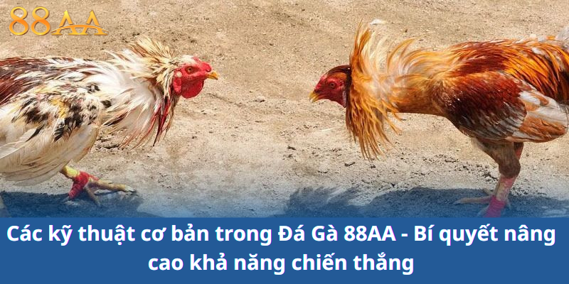 Các kỹ thuật cơ bản trong Đá Gà 88AA - Bí quyết nâng cao khả năng chiến thắng