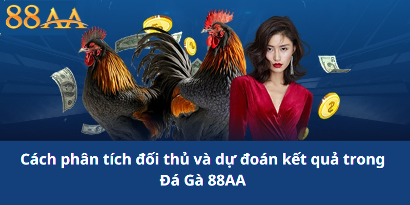 Cách phân tích đối thủ và dự đoán kết quả trong Đá Gà 88AA