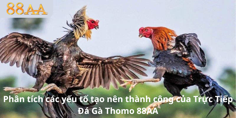 Phân tích các yếu tố tạo nên thành công của Trực Tiếp Đá Gà Thomo 88AA